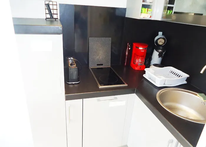 Joli Climatise A 400m Des Commerces *